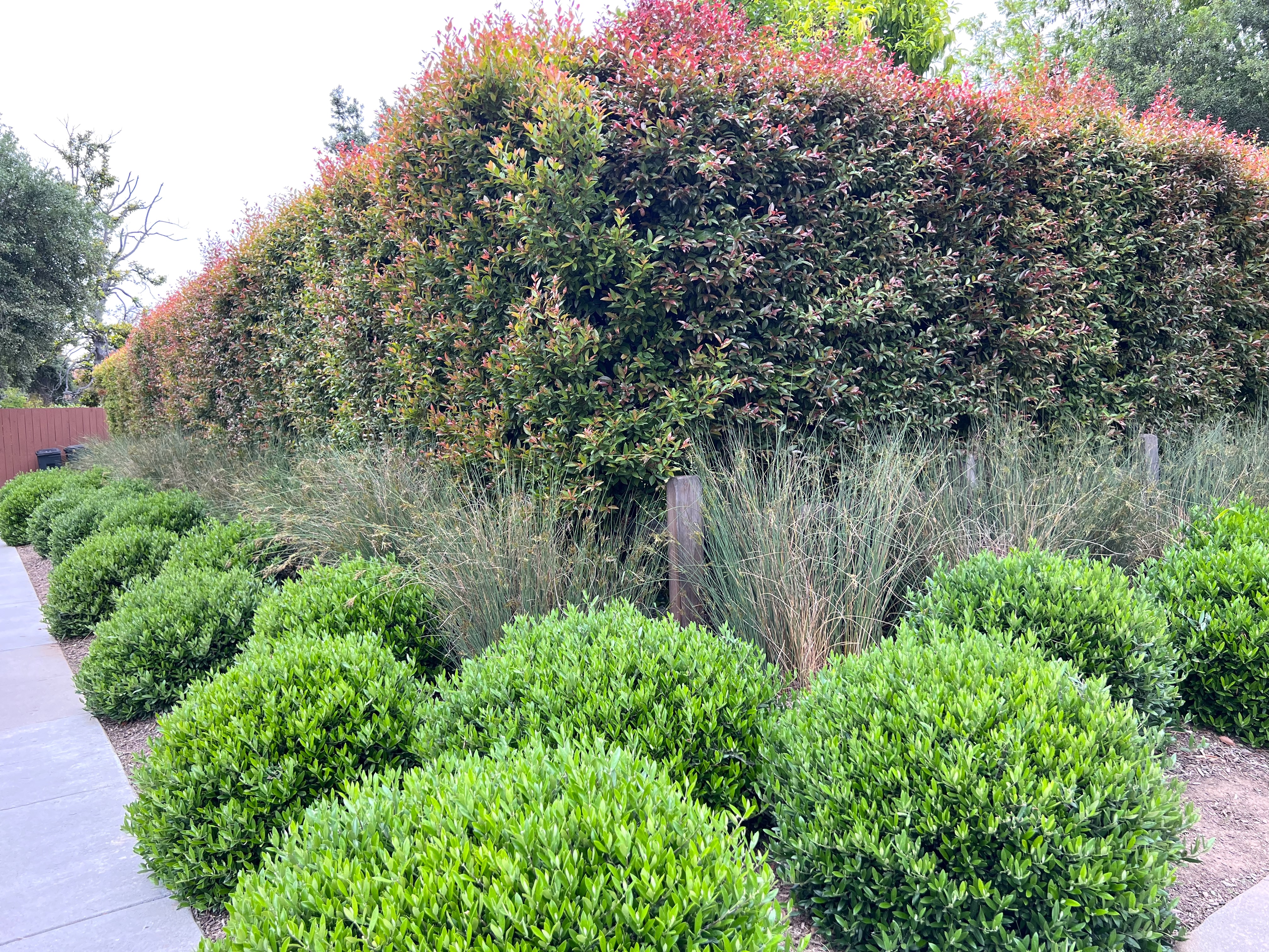 Different Types of Hedges for Privacy
